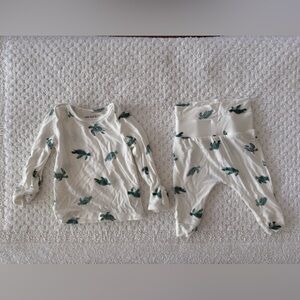 Carter's Cream and Green Turtle Print Kids Pajamas